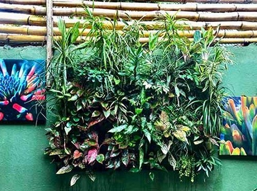 Living Wall with Plant Paintings on Either Side
